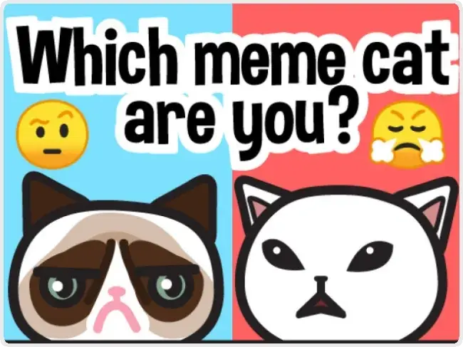 Which meme cat are you? Which meme cat are you?