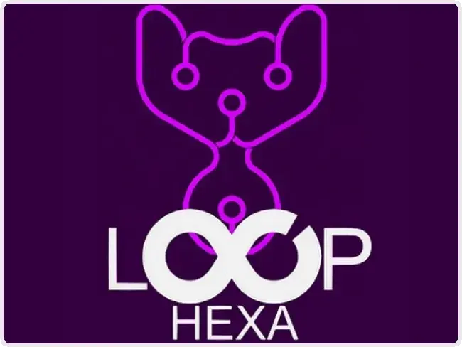 Loop Hexa Loop Hexa