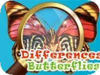 Differences Butterflies Differences Butterflies