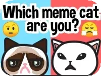 Which meme cat are you? Which meme cat are you?