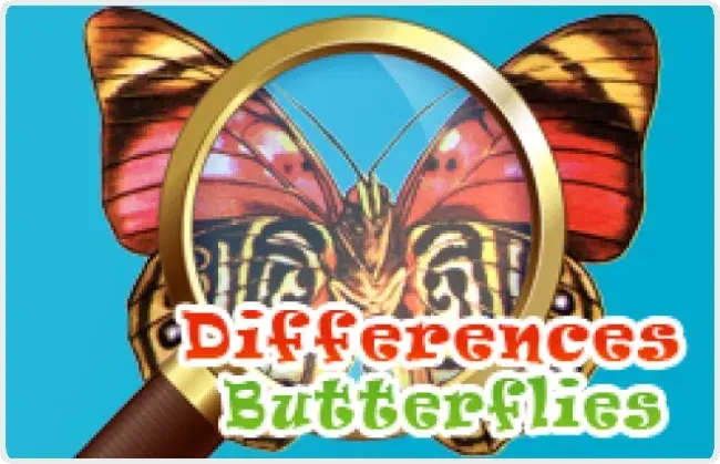Differences Butterflies Differences Butterflies