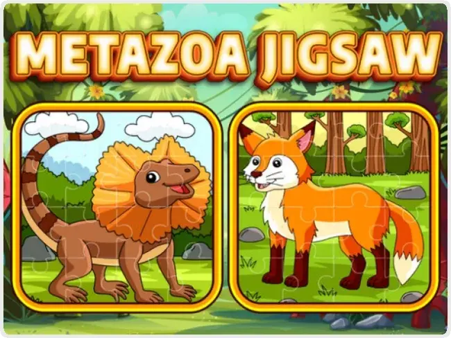 Metazoa Jigsaw Metazoa Jigsaw