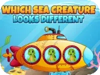 Which Sea Creature Looks Different Which Sea Creature Looks Different