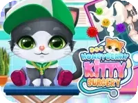 Doc HoneyBerry Kitty Surgery Doc HoneyBerry Kitty Surgery