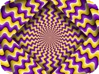 Optical Illusion Optical Illusion