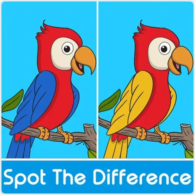 Spot the Difference Spot the Difference
