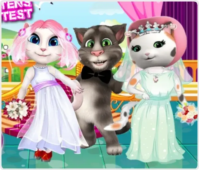 White Kittens Bride Contest White Kittens Bride Contest